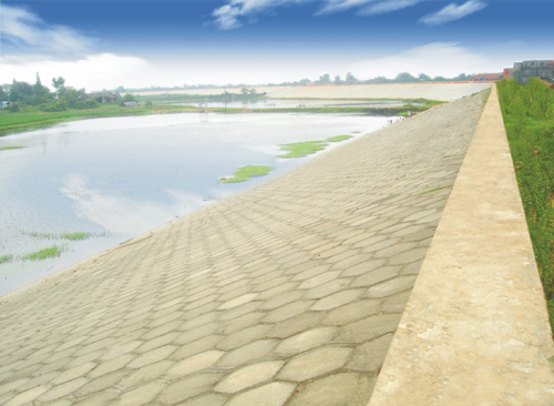 混凝土預(yù)制塊護坡（藥豐聯(lián)圩2標(biāo)）